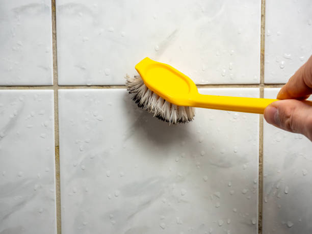  Herricks, NY Mold Removal Pros