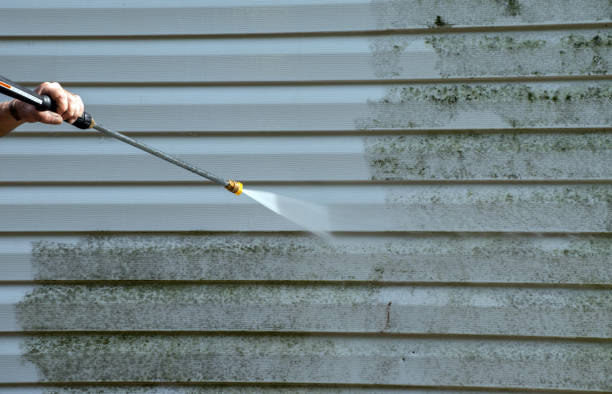 Best Mold Damage Repair  in Herricks, NY