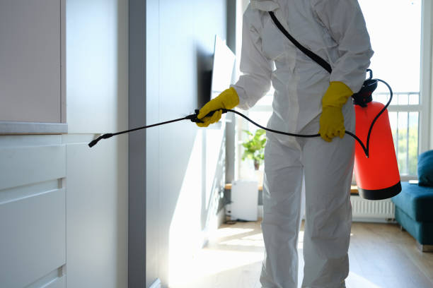 Best Affordable Mold Removal  in Herricks, NY