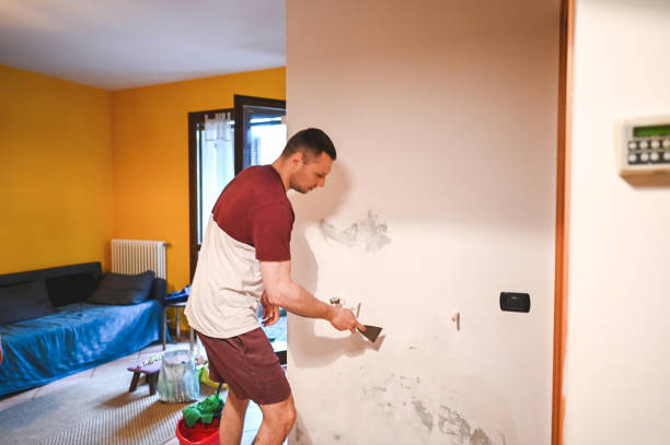 Best Mold Removal Company Near Me  in Herricks, NY